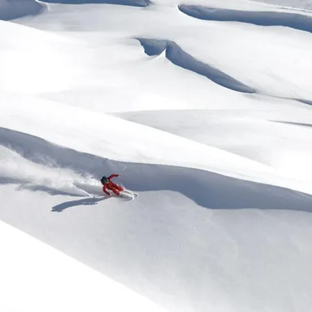 Rosa Canina Superior