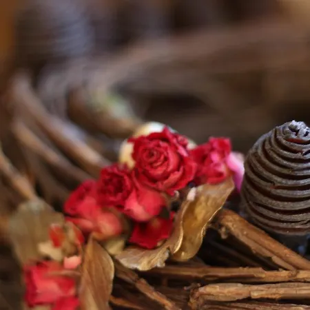 Rosa Canina Superior 3*