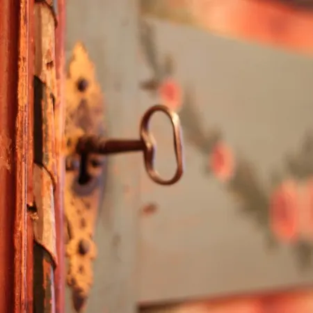 Rosa Canina Superior