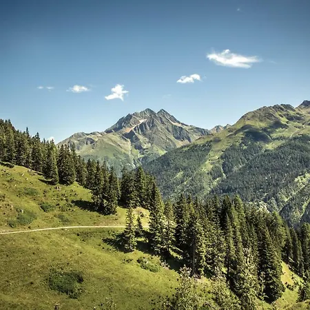 Rosa Canina Superior 3*