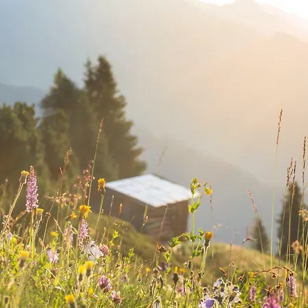 Hotel Rosa Canina Superior 3*