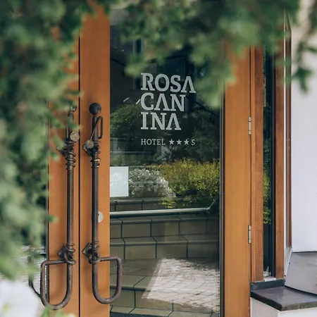 Rosa Canina Superior