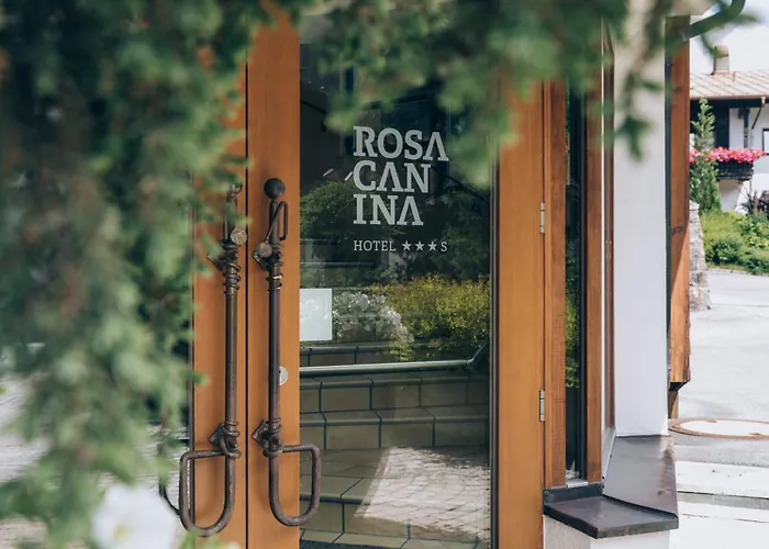 Rosa Canina Superior