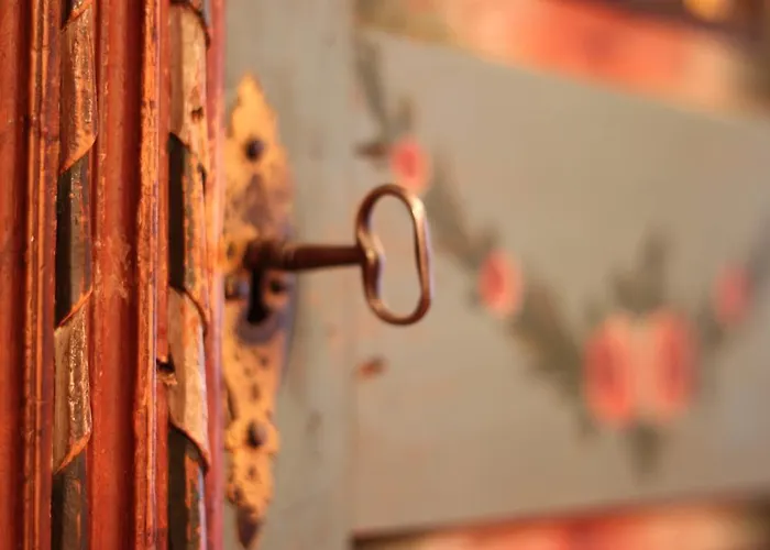 Rosa Canina Superior