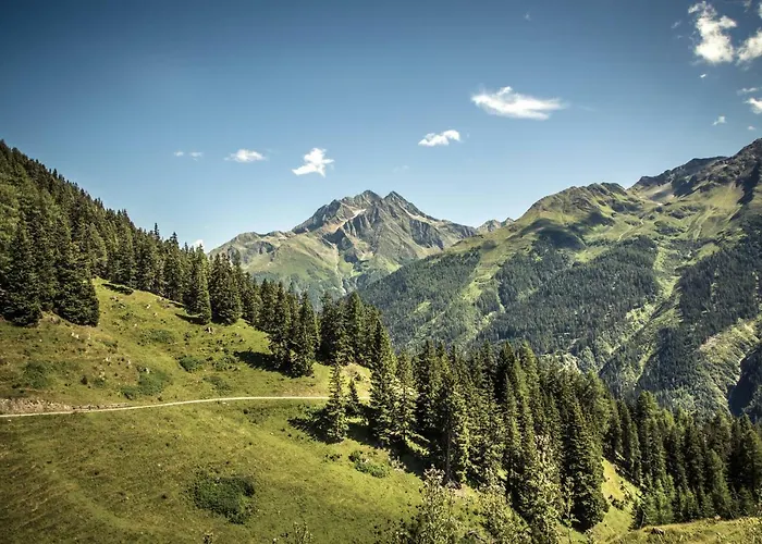 Rosa Canina Superior 3*