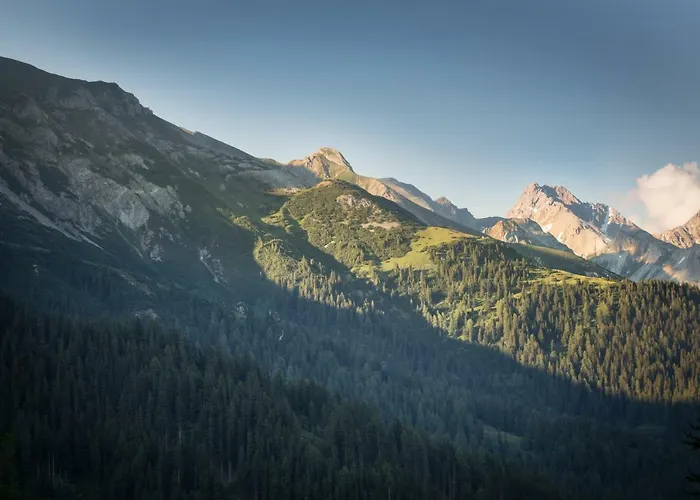 Rosa Canina Superior 3*