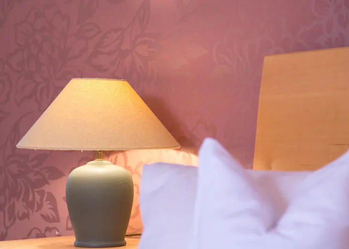 Rosa Canina Superior 3*