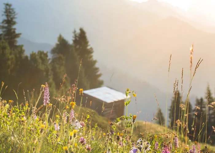 מלון Rosa Canina Superior 3*